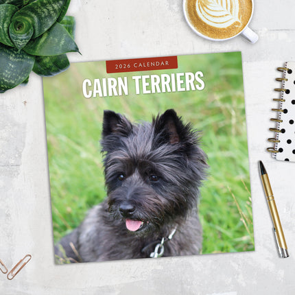 Red Robin Cairn Terrier Kalender 2026