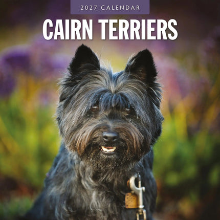 Red Robin Cairn Terrier Kalender 2027