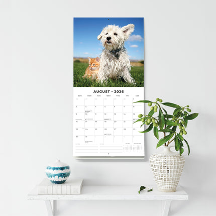 Red Robin Cats and Dogs Kalender 2026
