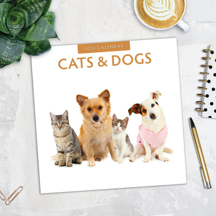 Red Robin Cats and Dogs Kalender 2026