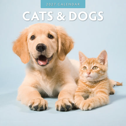 Red Robin Cats and Dogs Kalender 2027