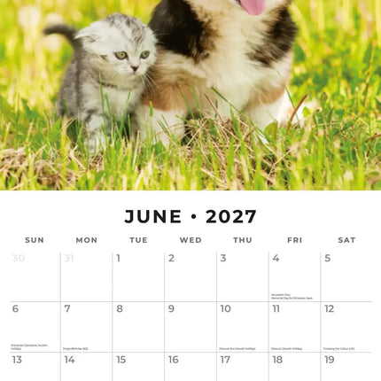 Red Robin Cats and Dogs Kalender 2027
