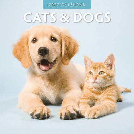 Red Robin Cats and Dogs Kalender 2027