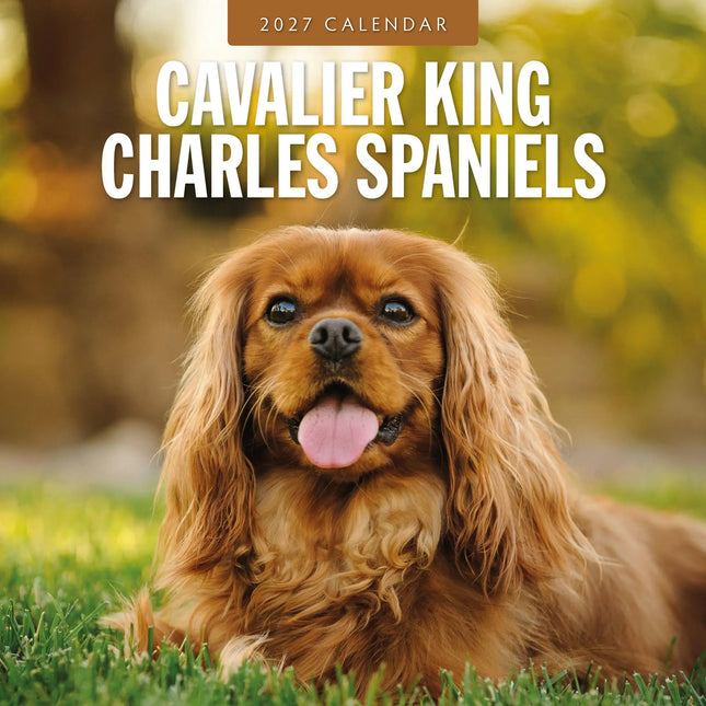 Red Robin Cavalier King Charles Spaniel Kalender 2027