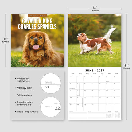 Red Robin Cavalier King Charles Spaniel Kalender 2027