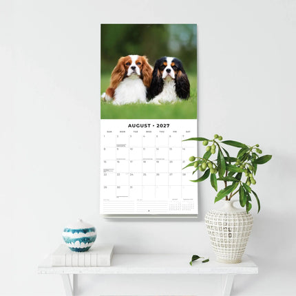 Red Robin Cavalier King Charles Spaniel Kalender 2027