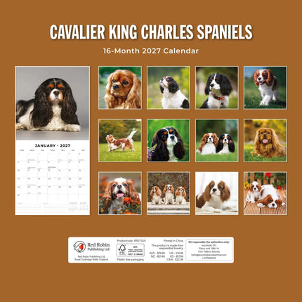 Red Robin Cavalier King Charles Spaniel Kalender 2027