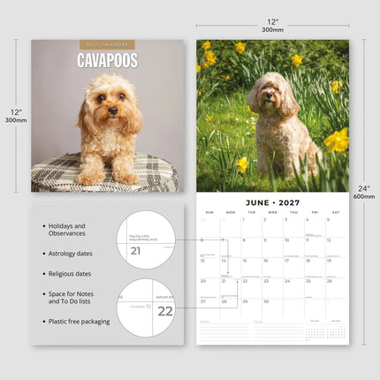 Red Robin Cavapoos Kalender 2027