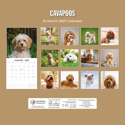 Red Robin Cavapoos Kalender 2027