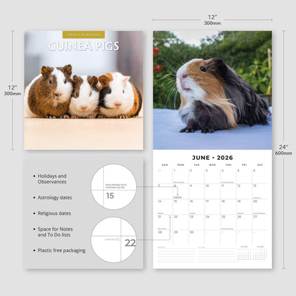 Red Robin Cavia Kalender 2026