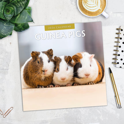 Red Robin Cavia Kalender 2026