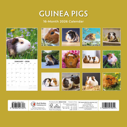 Red Robin Cavia Kalender 2026
