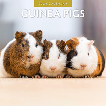 Red Robin Cavia Kalender 2026