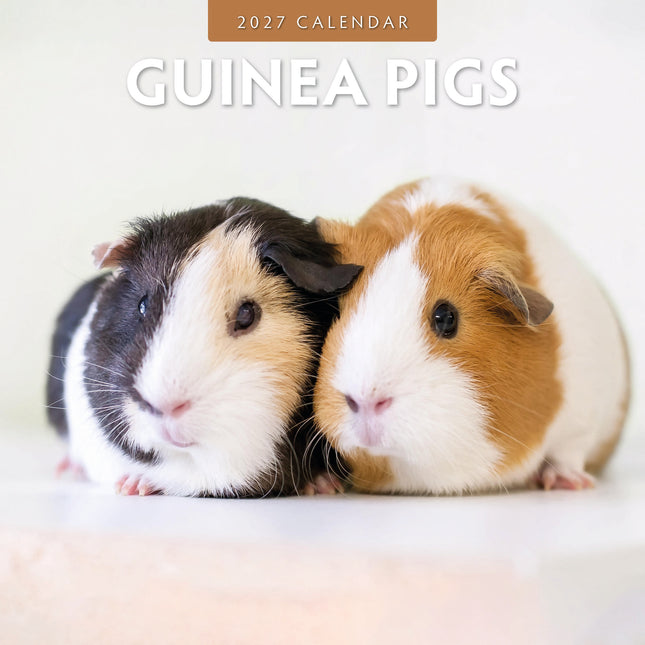 Red Robin Cavia Kalender 2027