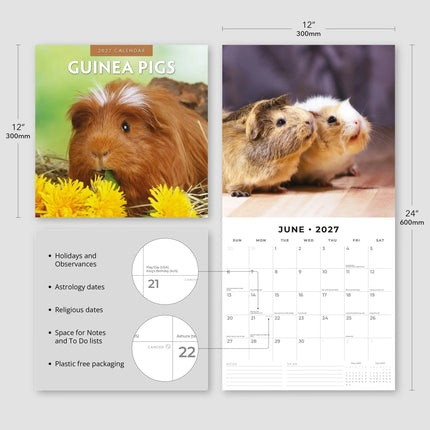 Red Robin Cavia Kalender 2027