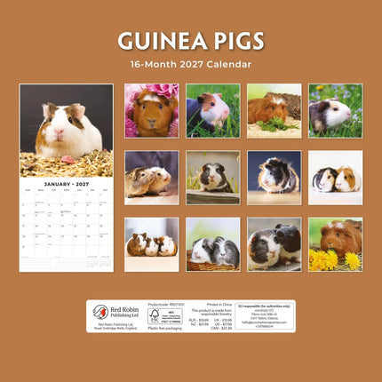 Red Robin Cavia Kalender 2027