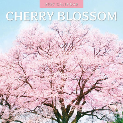 Red Robin Cherry Blossom Kalender 2027