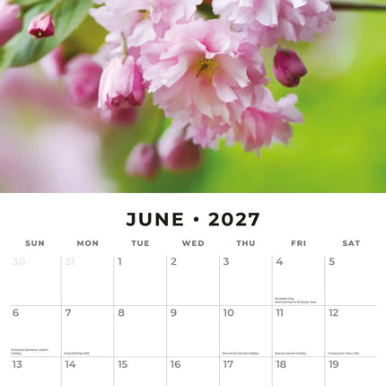 Red Robin Cherry Blossom Kalender 2027