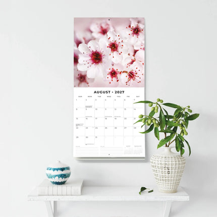 Red Robin Cherry Blossom Kalender 2027