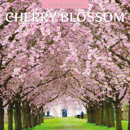 Red Robin Cherry Blossom Kalender 2027