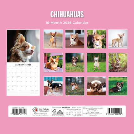 Red Robin Chihuahua Kalender 2027