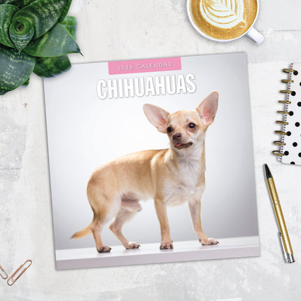 Red Robin Chihuahua Kalender 2027