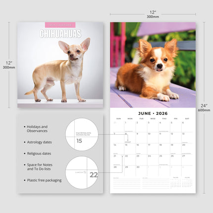 Red Robin Chihuahua Kalender 2027