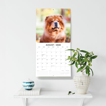 Red Robin Chow Chow Kalender 2026
