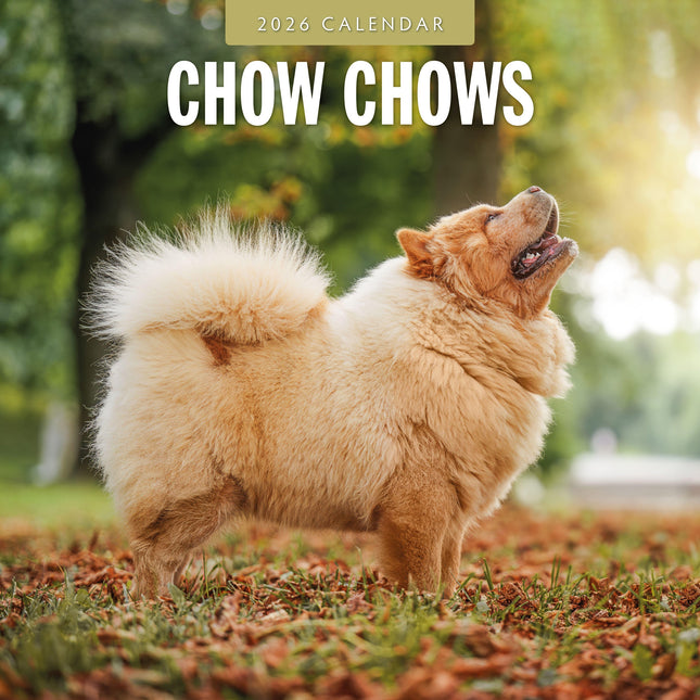 Red Robin Chow Chow Kalender 2026