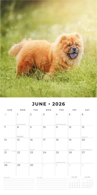 Red Robin Chow Chow Kalender 2026