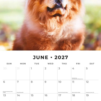 Red Robin Chow Chow Kalender 2027