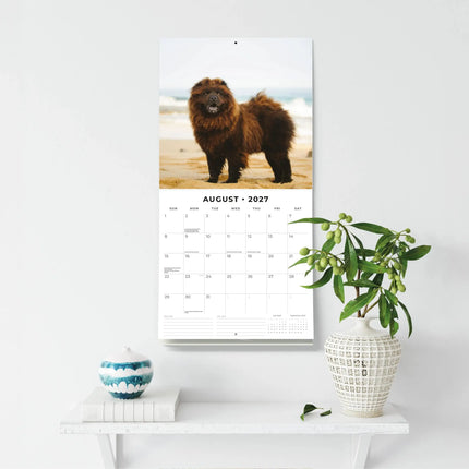 Red Robin Chow Chow Kalender 2027