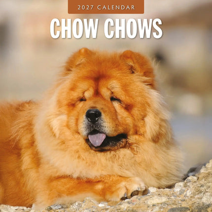 Red Robin Chow Chow Kalender 2027