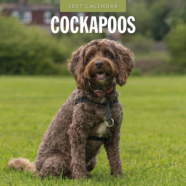 Red Robin Cockapoos Kalender 2027