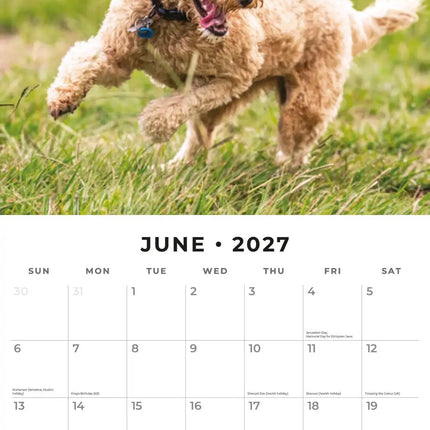 Red Robin Cockapoos Kalender 2027