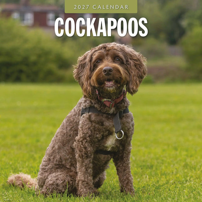 Red Robin Cockapoos Kalender 2027