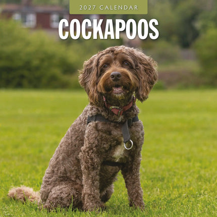 Red Robin Cockapoos Kalender 2027