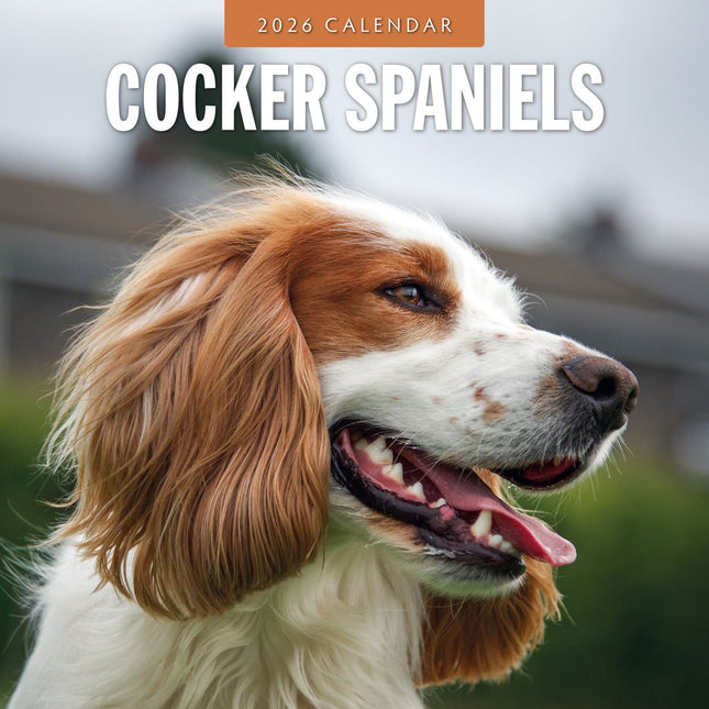 Red Robin Cocker Spaniels Kalender 2026