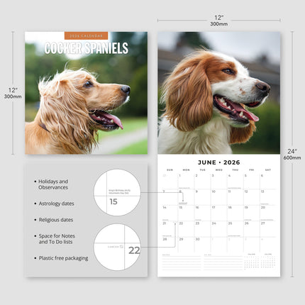 Red Robin Cocker Spaniels Kalender 2026