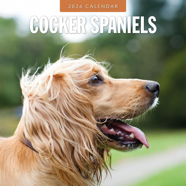 Red Robin Cocker Spaniels Kalender 2026