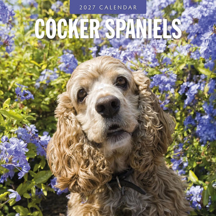 Red Robin Cocker Spaniels Kalender 2027