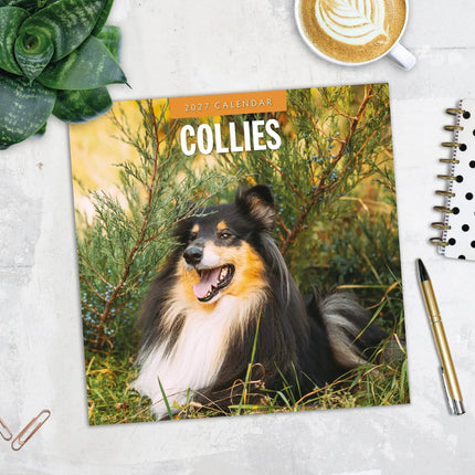 Red Robin Collie - Schotse Herder Kalender 2027