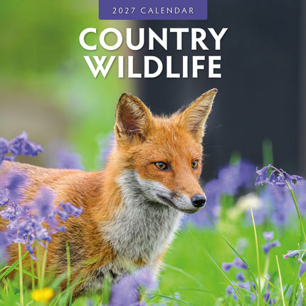 Red Robin Country Wildlife Kalender 2027