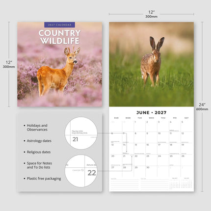 Red Robin Country Wildlife Kalender 2027