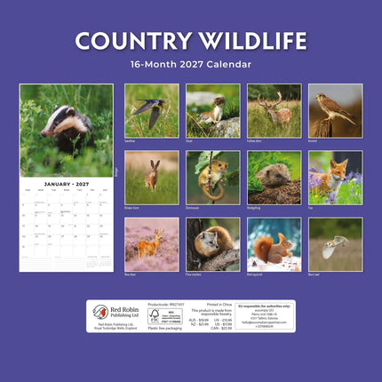 Red Robin Country Wildlife Kalender 2027