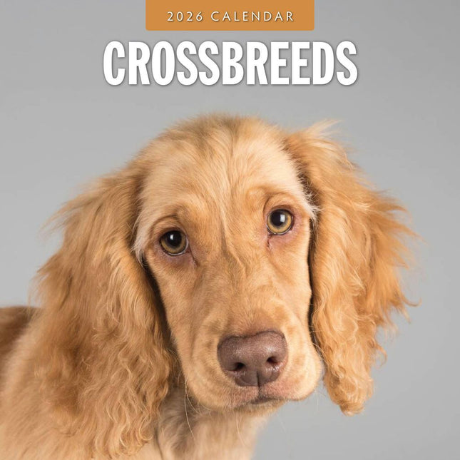 Red Robin Crossbreeds Kalender 2026