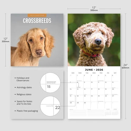 Red Robin Crossbreeds Kalender 2026