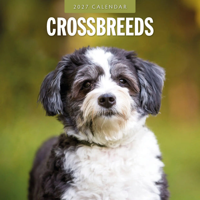 Red Robin Crossbreeds Kalender 2027