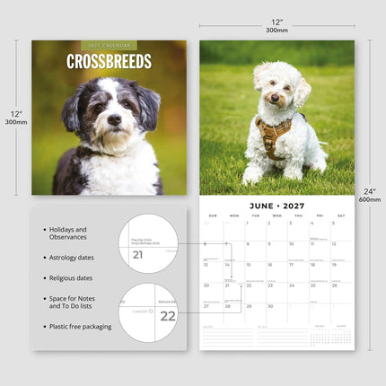 Red Robin Crossbreeds Kalender 2027