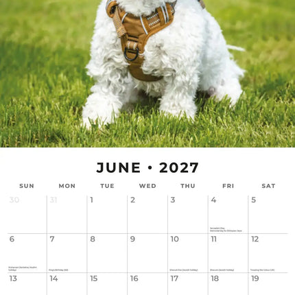 Red Robin Crossbreeds Kalender 2027